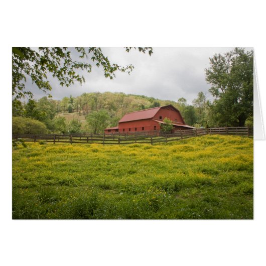 Field of Greens Cards (Front Horizontal)