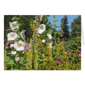 Field of Hollyhocks Cards