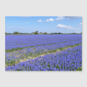 Field of Hyacinths (Front)