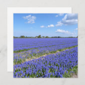 Field of Hyacinths (Front/Back)