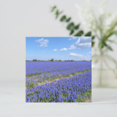 Field of Hyacinths (Standing Front)