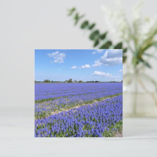 Field of Hyacinths (Standing Front)