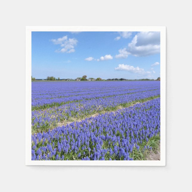 Field of Hyacinths Napkins (Front)