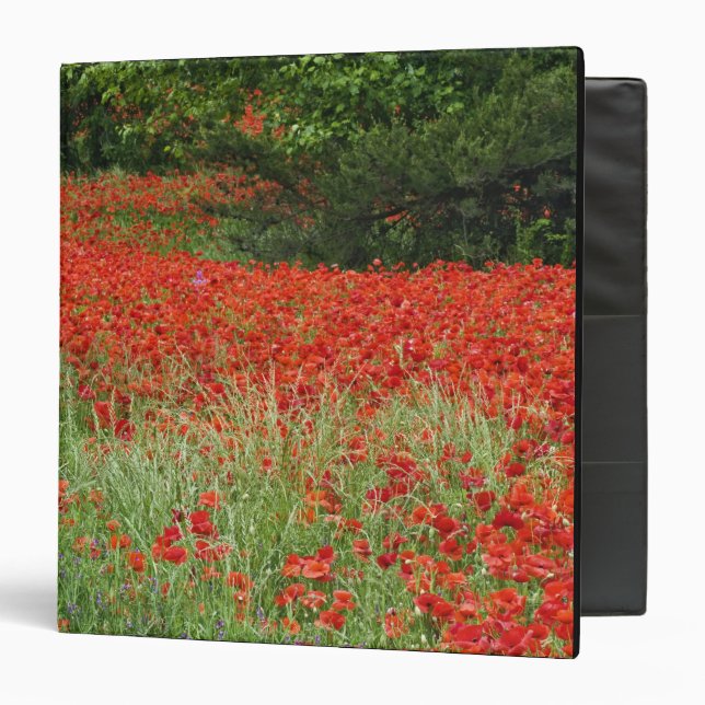 Field of hybrid poppy flowers planted along binder (Front/Inside)