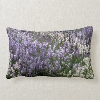 Field Of Lavender Cushion