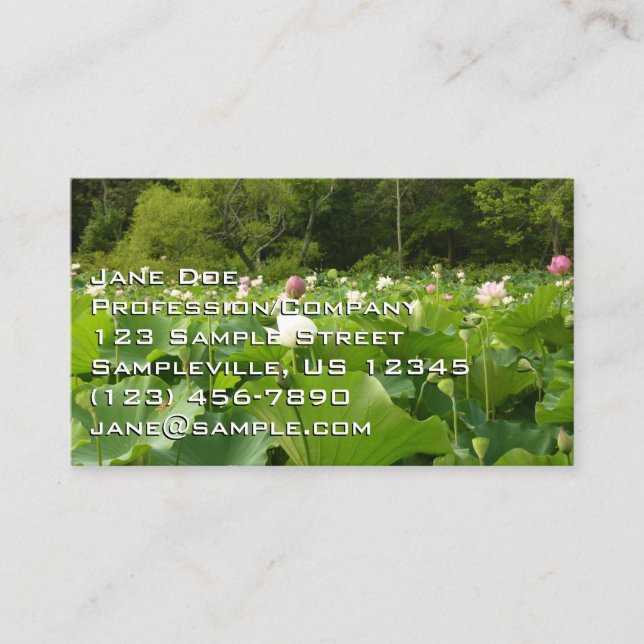 Field of Lotus Flowers Summer Garden Business Card (Front)