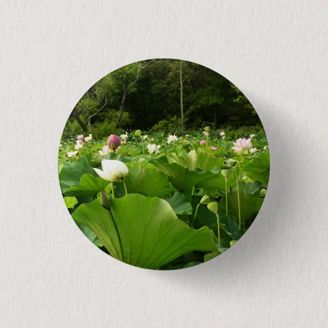 Field of Lotus Flowers Summer Garden Button (Front)