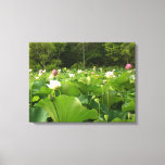 Field of Lotus Flowers Summer Garden Canvas Print