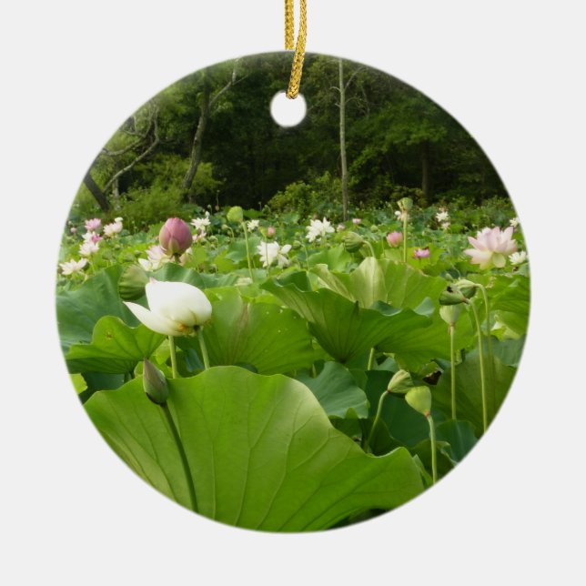 Field of Lotus Flowers Summer Garden Ceramic Ornament (Front)