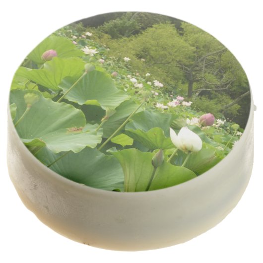 Field of Lotus Flowers Summer Garden Chocolate Dipped Oreo (Angled)
