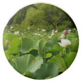 Field of Lotus Flowers Summer Garden Chocolate Dipped Oreo (Front)