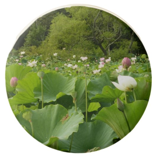 Field of Lotus Flowers Summer Garden Chocolate Dipped Oreo (Front)