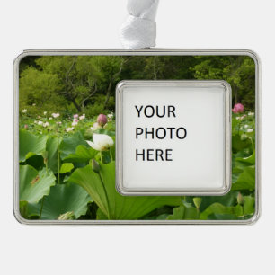 Field of Lotus Flowers Summer Garden Christmas Ornament