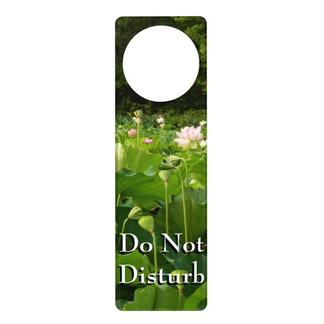 Field of Lotus Flowers Summer Garden Door Hanger (Front)