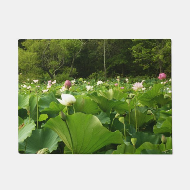 Field of Lotus Flowers Summer Garden Doormat (Front)