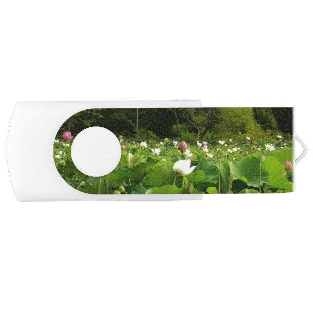Field of Lotus Flowers Summer Garden Flash Drive (Front)