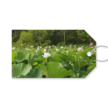 Field of Lotus Flowers Summer Garden Gift Tags