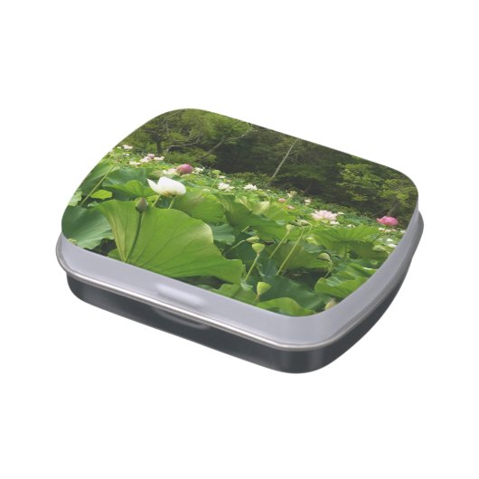 Field of Lotus Flowers Summer Garden Jelly Belly Tin (Side)