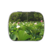 Field of Lotus Flowers Summer Garden Jelly Belly Tin (Top)