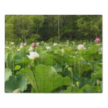 Field of Lotus Flowers Summer Garden Jigsaw Puzzle