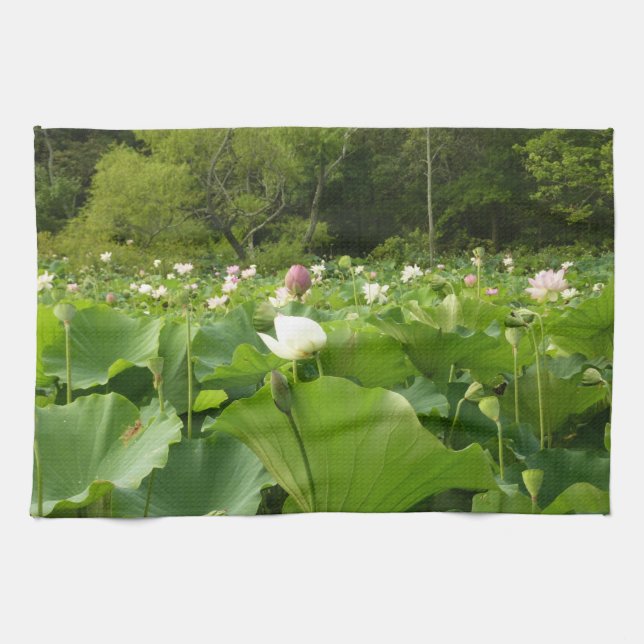 Field of Lotus Flowers Summer Garden Kitchen Towel (Horizontal)