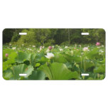 Field of Lotus Flowers Summer Garden License Plate