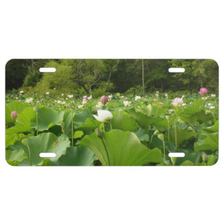 Field of Lotus Flowers Summer Garden License Plate