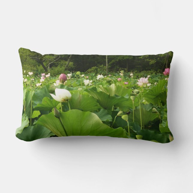 Field of Lotus Flowers Summer Garden Lumbar Pillow (Front)