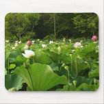 Field of Lotus Flowers Summer Garden Mouse Pad