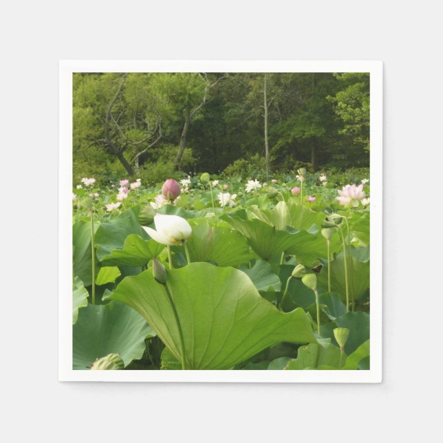 Field of Lotus Flowers Summer Garden Paper Napkins (Front)