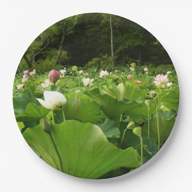 Field of Lotus Flowers Summer Garden Paper Plates (Front)