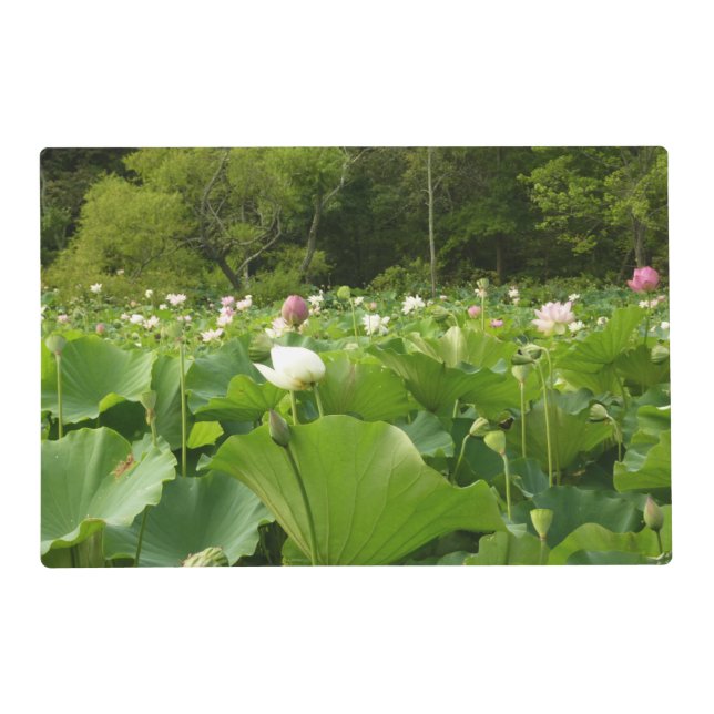 Field of Lotus Flowers Summer Garden Placemat (Front)