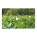 Field of Lotus Flowers Summer Garden Rectangular Sticker