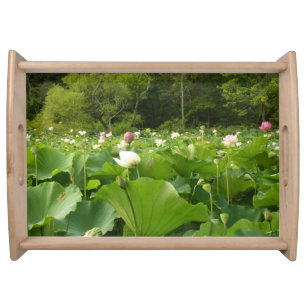 Field of Lotus Flowers Summer Garden Serving Tray
