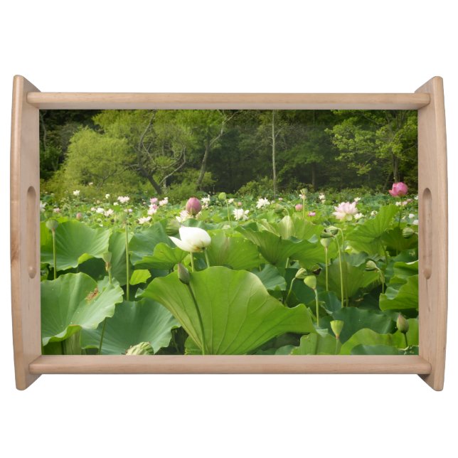 Field of Lotus Flowers Summer Garden Serving Tray (Front)