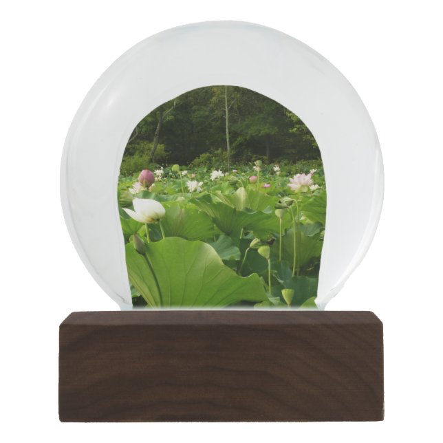 Field of Lotus Flowers Summer Garden Snow Globe (Front)