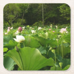 Field of Lotus Flowers Summer Garden Square Paper Coaster