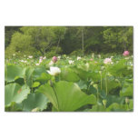 Field of Lotus Flowers Summer Garden Tissue Paper