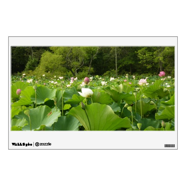 Field of Lotus Flowers Summer Garden Wall Decal (Front)