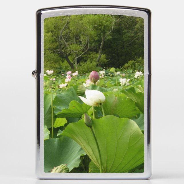 Field of Lotus Flowers Summer Garden Zippo Lighter (Front)