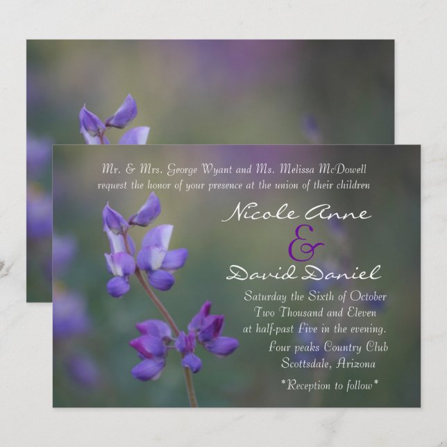 field of Lupine invitation horizontal (Front/Back)