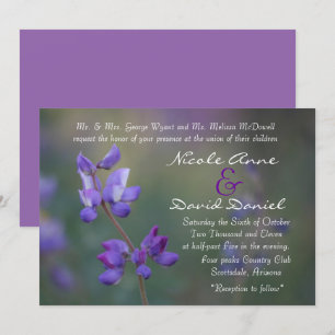 field of Lupine invitation horizontal