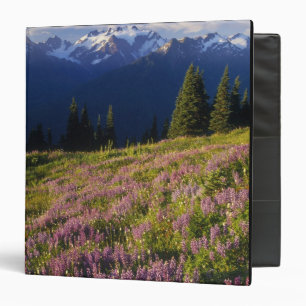 Field of lupine, Mt. Olympus, and clouds at Binder
