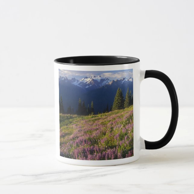 Field of lupine, Mt. Olympus, and clouds at Mug (Right)