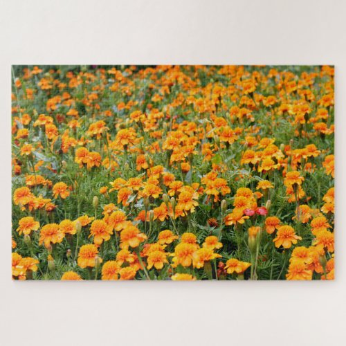 Field of Marigold Flowers Difficult Jigsaw Puzzle