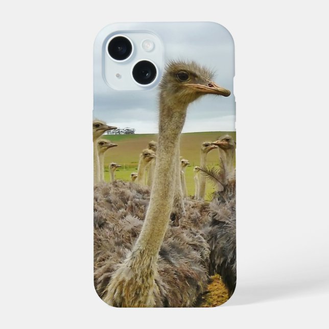 Field of Ostriches Iphone Case (Back)