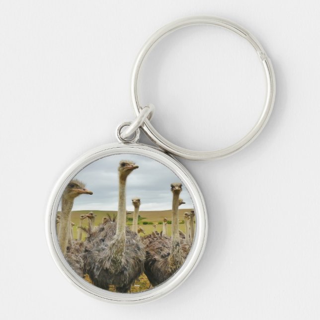 Field of Ostriches Keychain (Front)