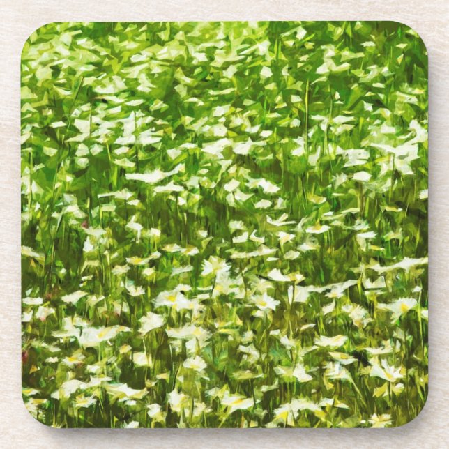 Field of Oxeye Daisies Abstract Impressionism Drink Coaster (Front)