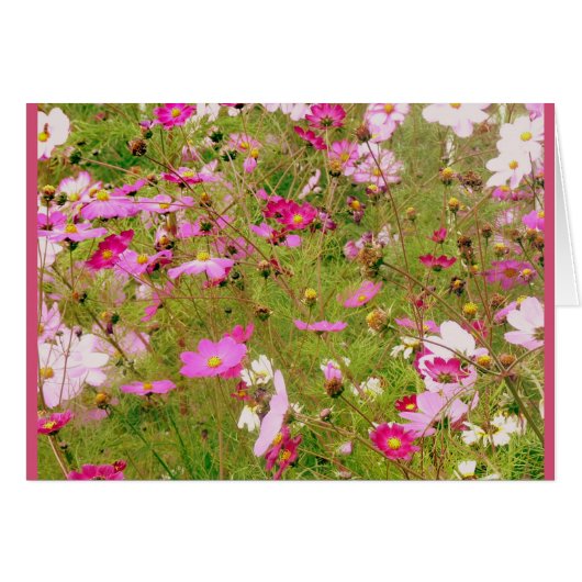 Field Of Pink Flowers Cards (Front Horizontal)