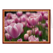 Field of pink tulips (Front Horizontal)